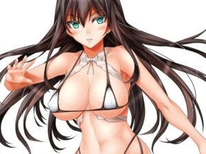 超大 免版稅素材集028(Zeekun Software) – FANZA同人