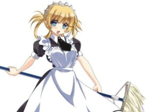 特大 免版稅素材040(Ziekun Software) – FANZA同人