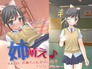 姉萌え♪ 〜 妳真的那麼喜歡姐姐嗎？沒辦法呢……