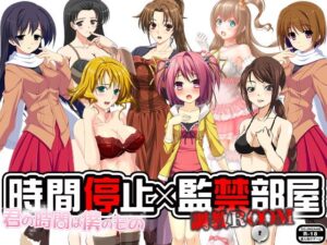 時間停止×調教房間(ADOOM) – FANZA同人