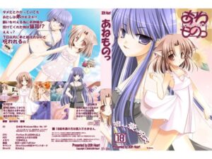 姐姐的❤ [20th Heart] | DLsite 同人 – R18