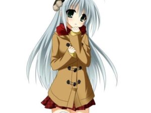 超大容量 免版稅素材集101(Zeikun Software) – FANZA同人