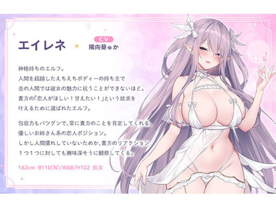 【DL版】精靈樂園～歡迎♪身心俱癒的鞭撻色情精靈理想郷～