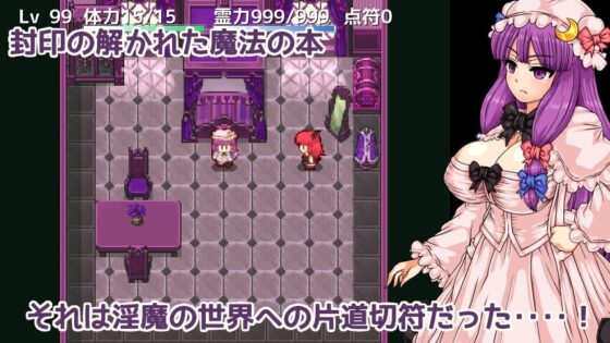帕秋莉與淫魔的魔本 [第N本舖]