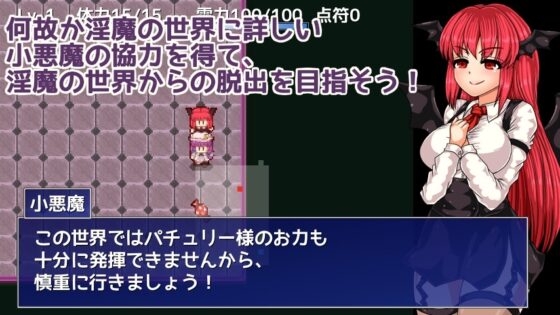 帕秋莉與淫魔的魔本 [第N本舖]