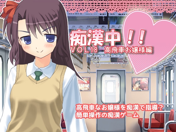 癡漢中! Vol.18 高傲千金小姐篇 [Delusion]