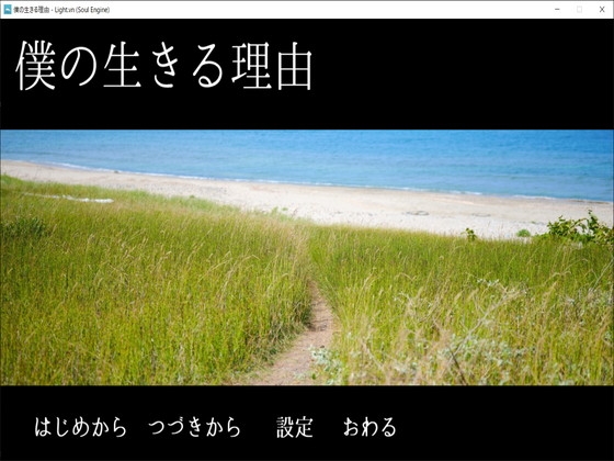 我活著的理由 [未来色原石] | DLsite 同人 - R18