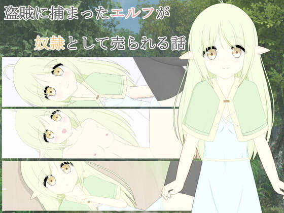 被盜賊捕獲的精靈被當成性奴隸販賣的故事(wataritori)