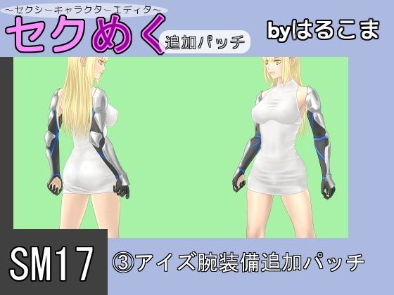 SM17（3）艾絲手臂裝備追加補丁(harukoma)