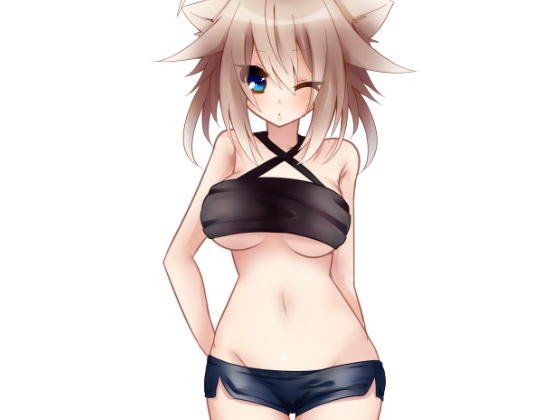 超大 免版稅素材014(Ziekun Software) - FANZA同人