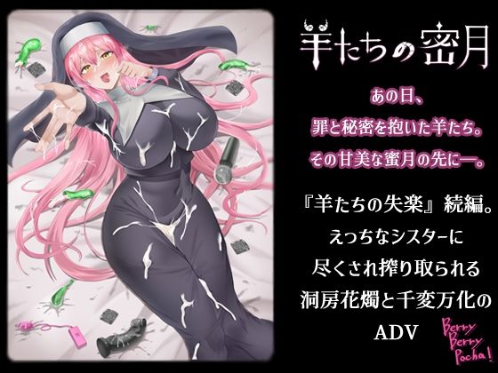 羊群們的蜜月(masumi software & BBP!)