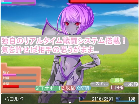 對抗女尊男卑國家卻被性欲擊敗而遭侵犯的RPG [RR研究會]