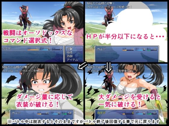 女侍楓 [桃色時代劇]