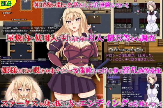 第三王女蕾娜的秘密(第46騎士團)