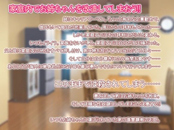 家庭內改造!!下流姐姐的製造方法(Sodom to Gomorra)
