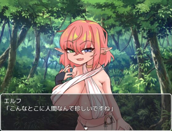 從初次見面開始與傲嬌精靈調情的遊戲（Enokizono）