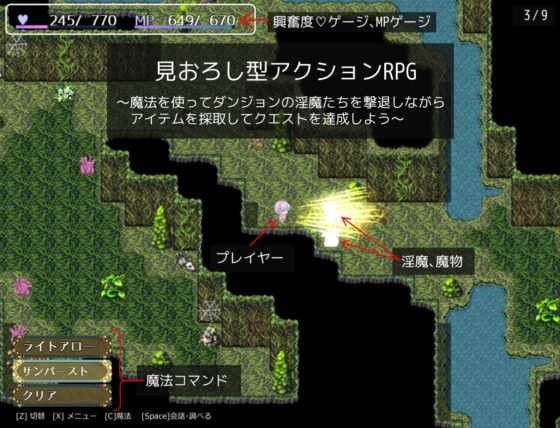 雙穴貝爾 [OpalCat]