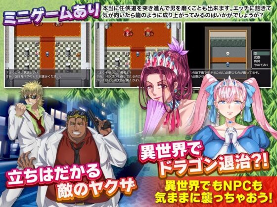 NPC姦の如く - FANZA同人遊戲