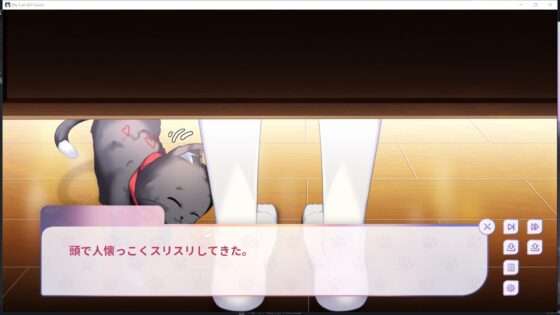 我的貓女孩戀人 [Garakowa Marshmallow] | DLsite 同人 - R18