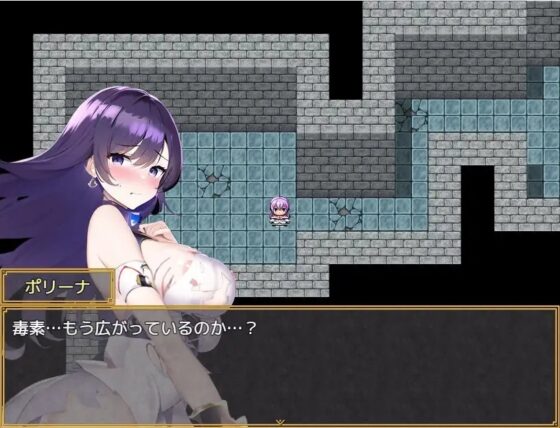 勇者的敗北!等級、裝備、能力全滿足! [Venus Studio]