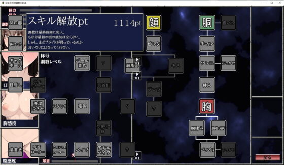 淫亂性奴隸調教化計畫 [dark.ryona.x15]
