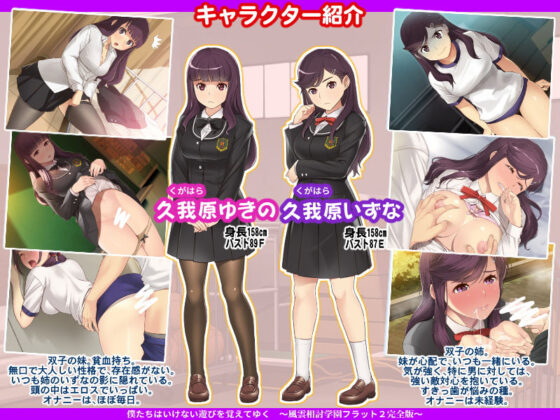 我們逐漸學會了禁忌的遊戲～風雲相討學園Flat2完全版～