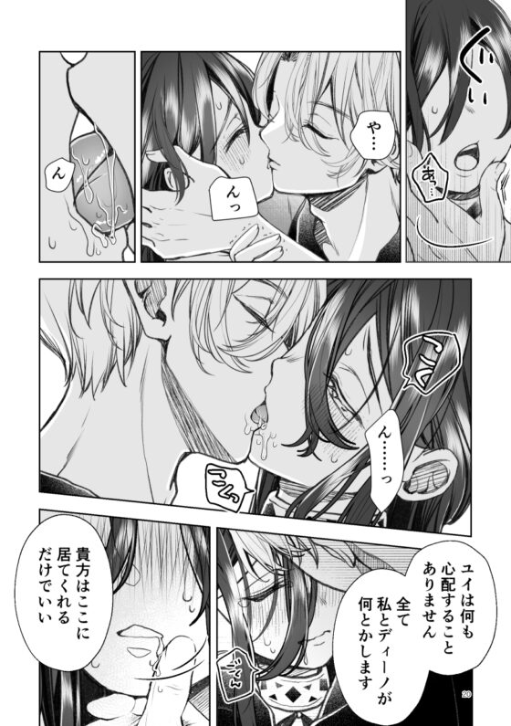想回家的救國少女與不想讓她回家的兩位王子＜後編＞