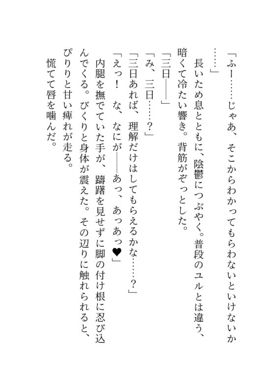 聖騎士大人喜歡調教反派千金小姐 ～公開跟蹤狂的監禁淫穴訓練～