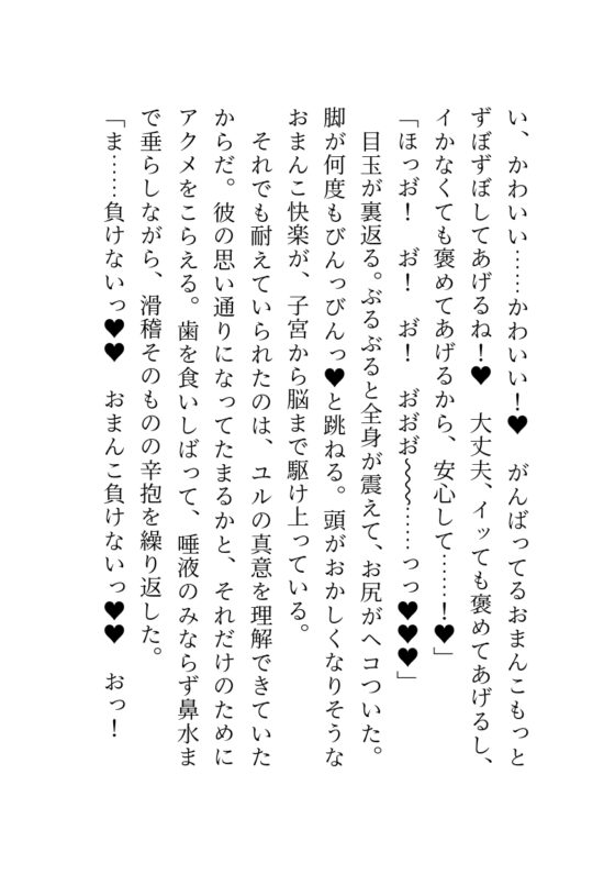 聖騎士大人喜歡調教反派千金小姐 ～公開跟蹤狂的監禁淫穴訓練～