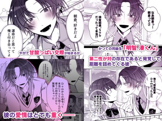 患有強烈執著愛情的醫生湊君善於撩撥本能 [hato Pair]