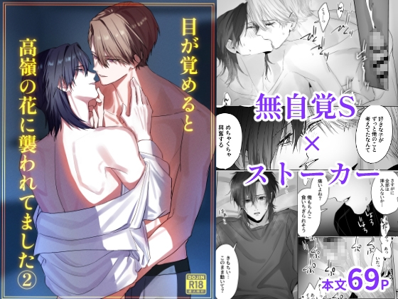 一覺醒來被高嶺之花襲擊了(2) [MIZUSAWA]