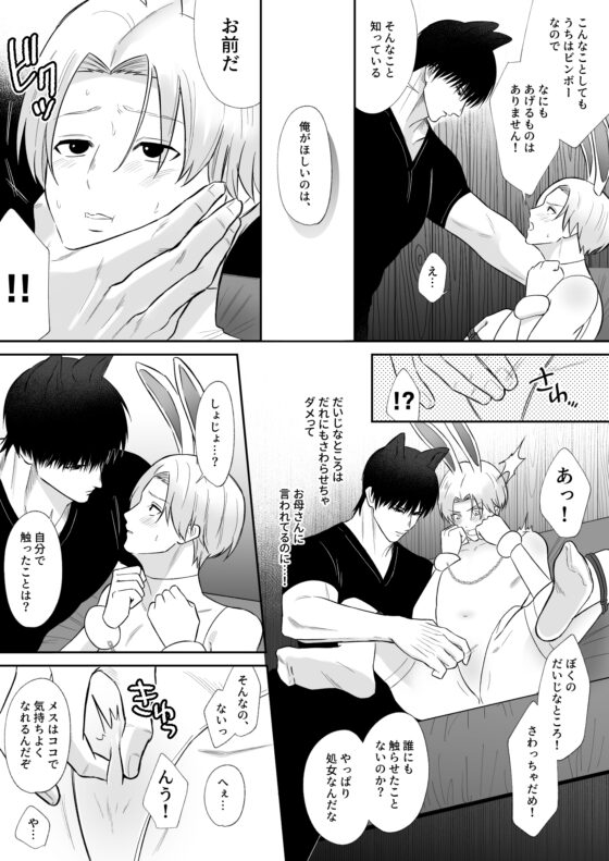 抓到兔子了 [TAKAIMORI]