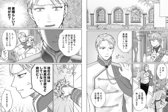 妹妹想把堅物騎士哥哥墮落3 [bozzolo]
