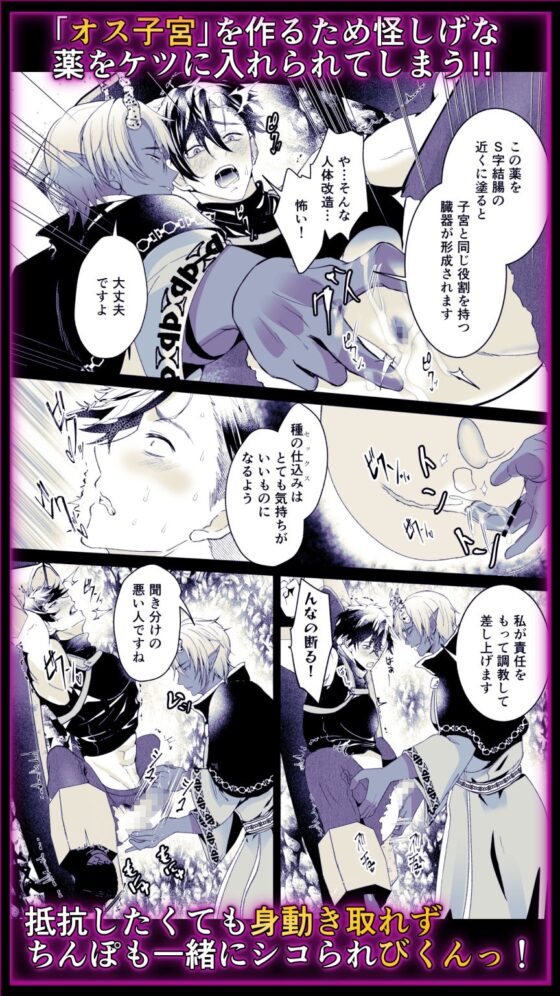 食人魔的新娘~被奪去生育權的最強劍士~