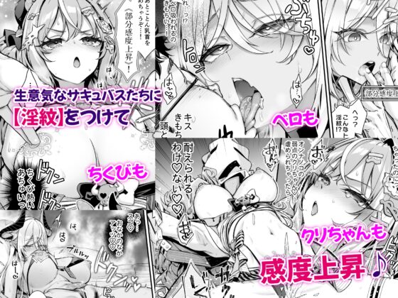 魔王城的魅魔 〜VS.淫紋術師〜 [一ノ瀬ランド]