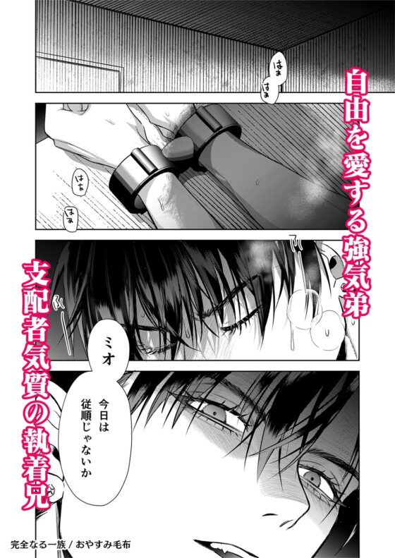 完全なる一族 樂園的箱 [おやすみ毛布]