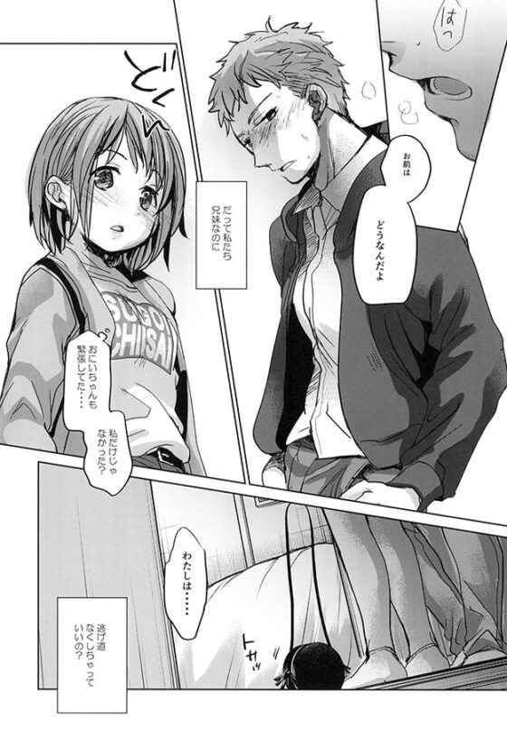 我和哥哥的日常 總集編1 [おかだ亭]