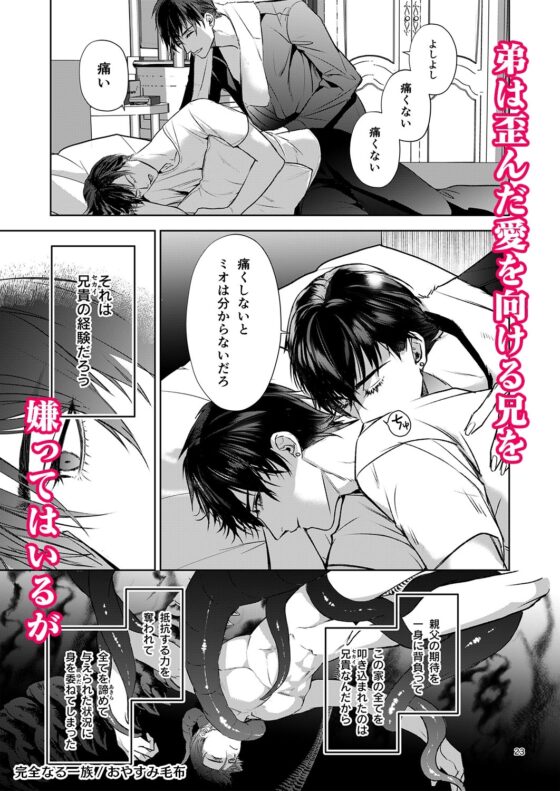 完全なる一族 樂園的箱 [おやすみ毛布]