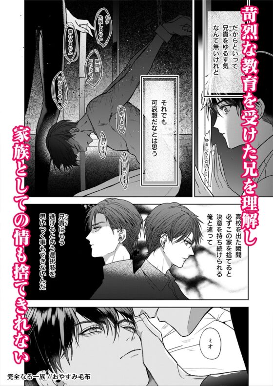 完全なる一族 樂園的箱 [おやすみ毛布]