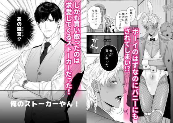 色氣♡兔寶寶 〜男孩的我變成兔寶寶與戀人契約♡的事〜