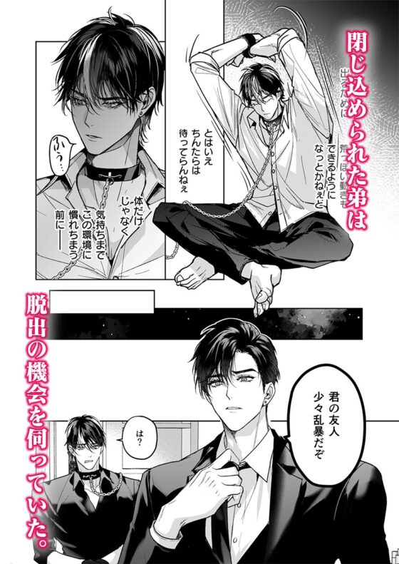 完全的一族 樂園之箱＜2＞